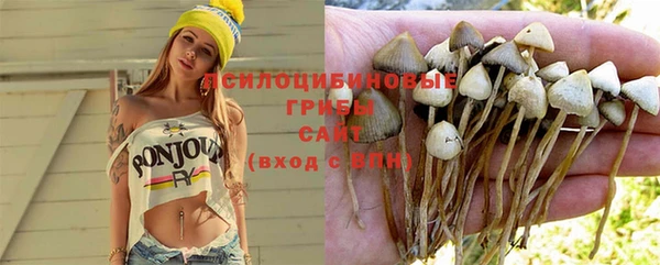 гашик Ступино