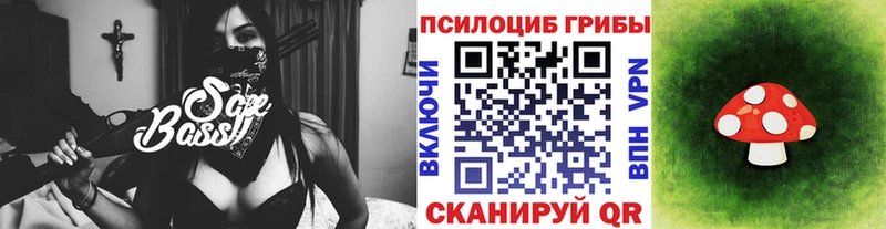 Галлюциногенные грибы MAGIC MUSHROOMS  Цивильск 